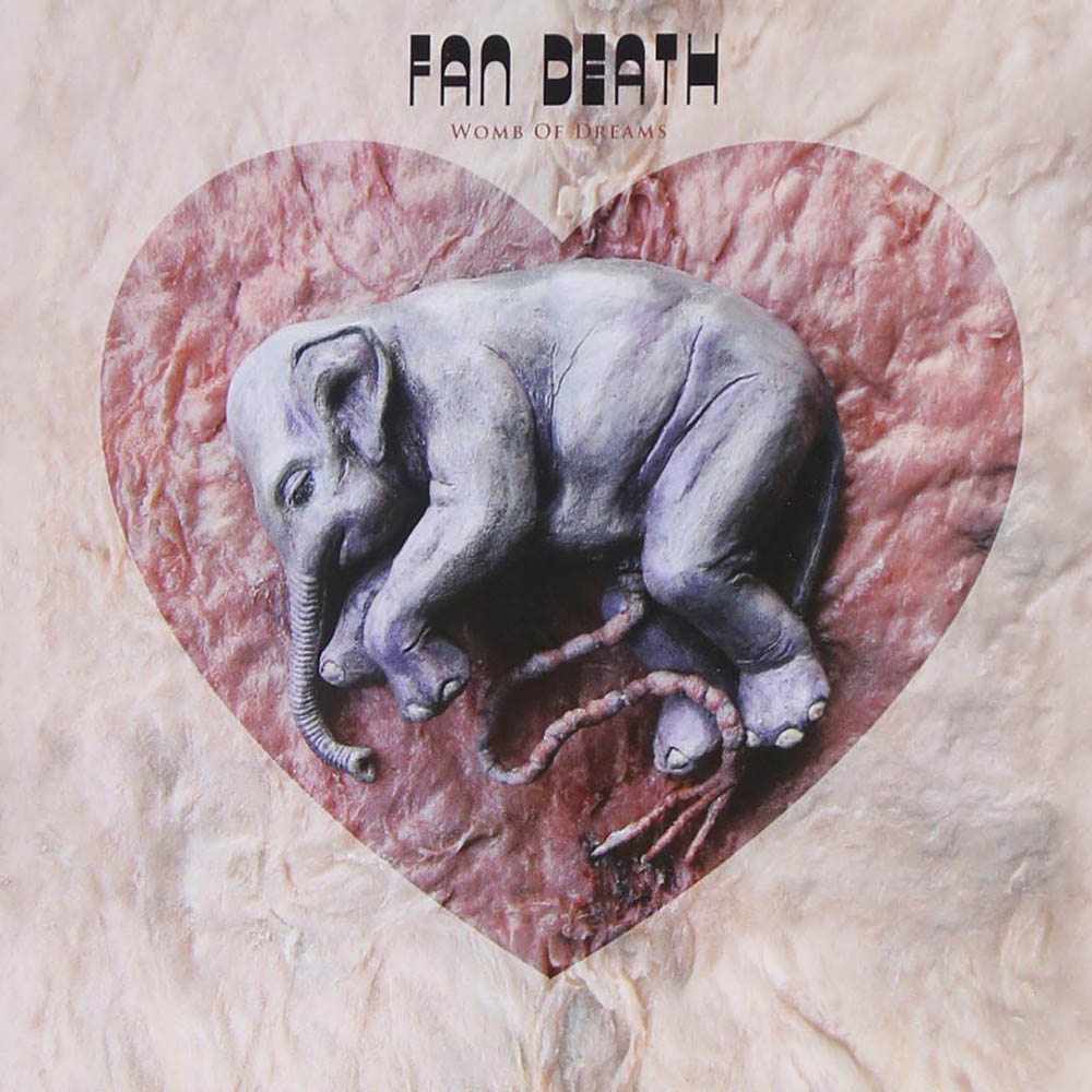 Fan Death